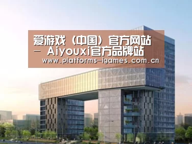 案例展示四