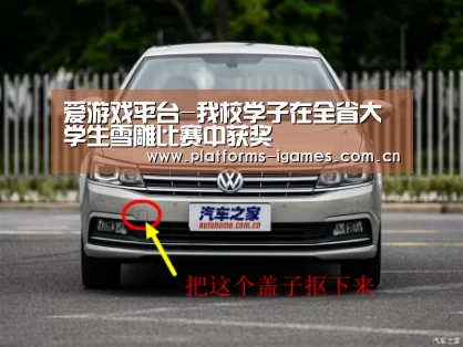 爱游戏平台-我校学子在全省大学生雪雕比赛中获奖(图3) 爱游戏平台