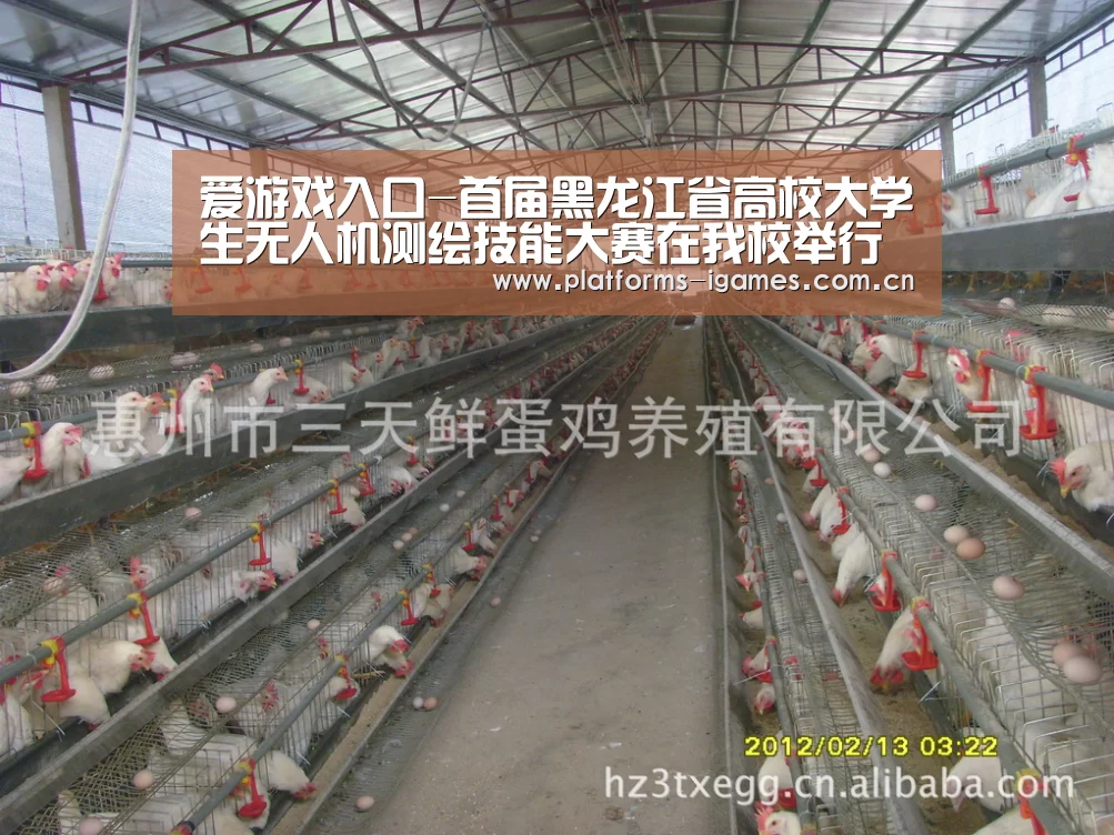 爱游戏APP